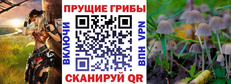 купить Усть-Кут Псилоцибиновые грибы Psilocybine cubensis